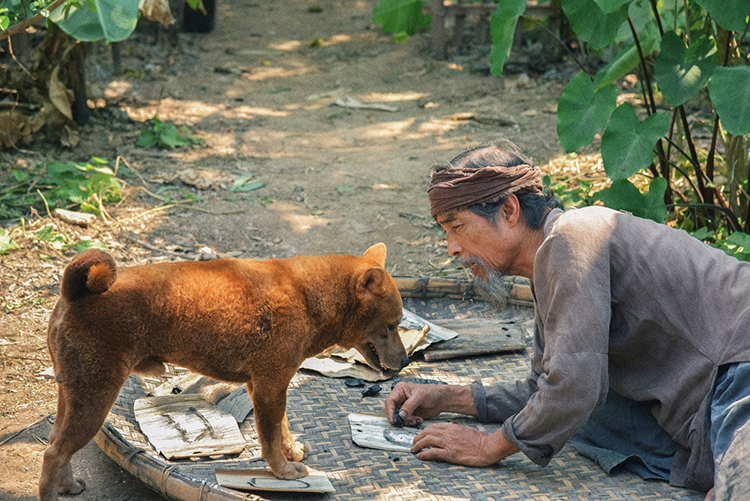 “Cậu Vàng” là phim phóng tác từ tác phẩm văn học của Nam Cao. 