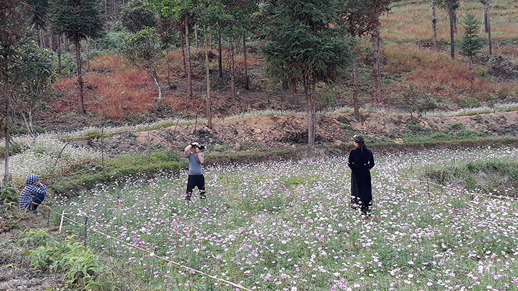Du khách chụp ảnh bên những luống hoa trồng trên đất rừng bị đốt phá.