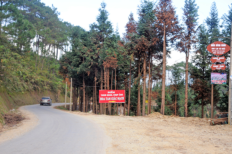 Điểm bán vé tham quan vườn hoa tam giác mạch trên diện tích rừng bị đốt phá sai quy định tại km7 thuộc xã Lao Và Chải.