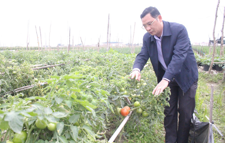 Ông Nguyễn Hữu Dũng, Phó Chủ tịch UBND huyện Thọ Xuân thực địa  mô hình công nghệ cao  tại thị trấn Thọ Xuân