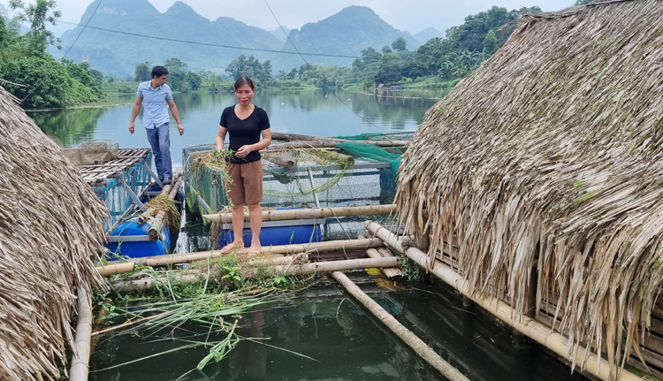 Phát triển nghề nuôi các lồng theo hướng bền vững góp phần xóa đói giảm nghèo.