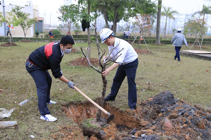 Cán bộ, nhân viên Công ty tham gia trồng cây.