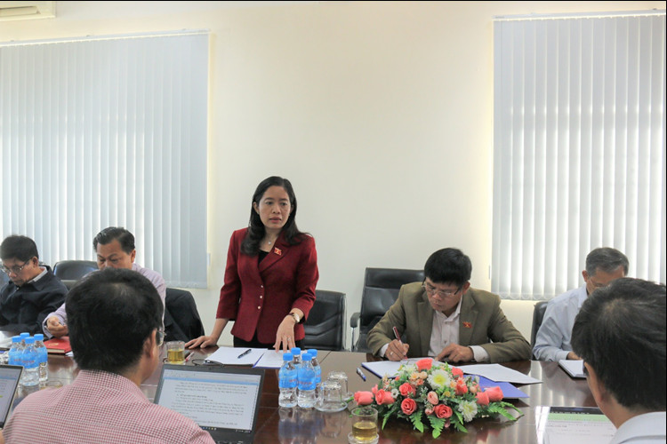 Bà Lê Thị Thanh Xuân - Trưởng đoàn giám sát phát biểu tại buổi làm việc.