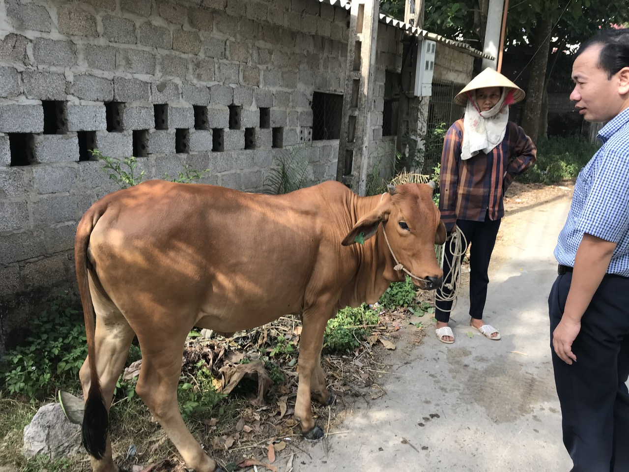 Các dự án hỗ trợ  sản xuất cho người nghèo được triển khai có hiệu quả, tạo sự tin tưởng và có sức lan tỏa rộng lớn.