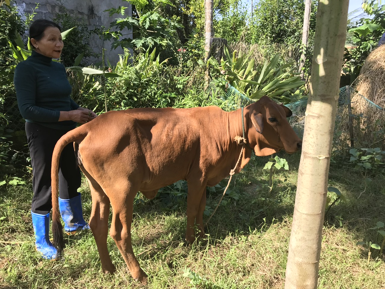 Nhiều mô hình hỗ trợ sản xuất đã giúp người dân thoát nghèo.