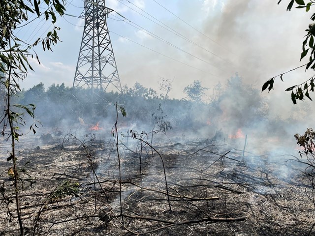 Một đám cháy xuất phát từ việc đốt cỏ gây ảnh hưởng đến an toàn lưới điện tại Đồng Nai.