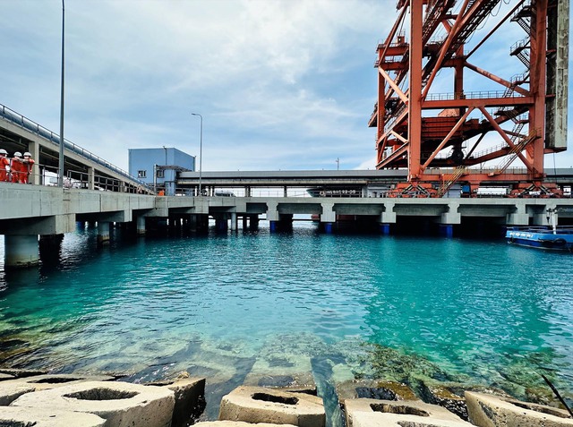 Các rạn san hô đang sinh trưởng tại cảng than Nhà máy Nhiệt điện Vĩnh Tân 2.