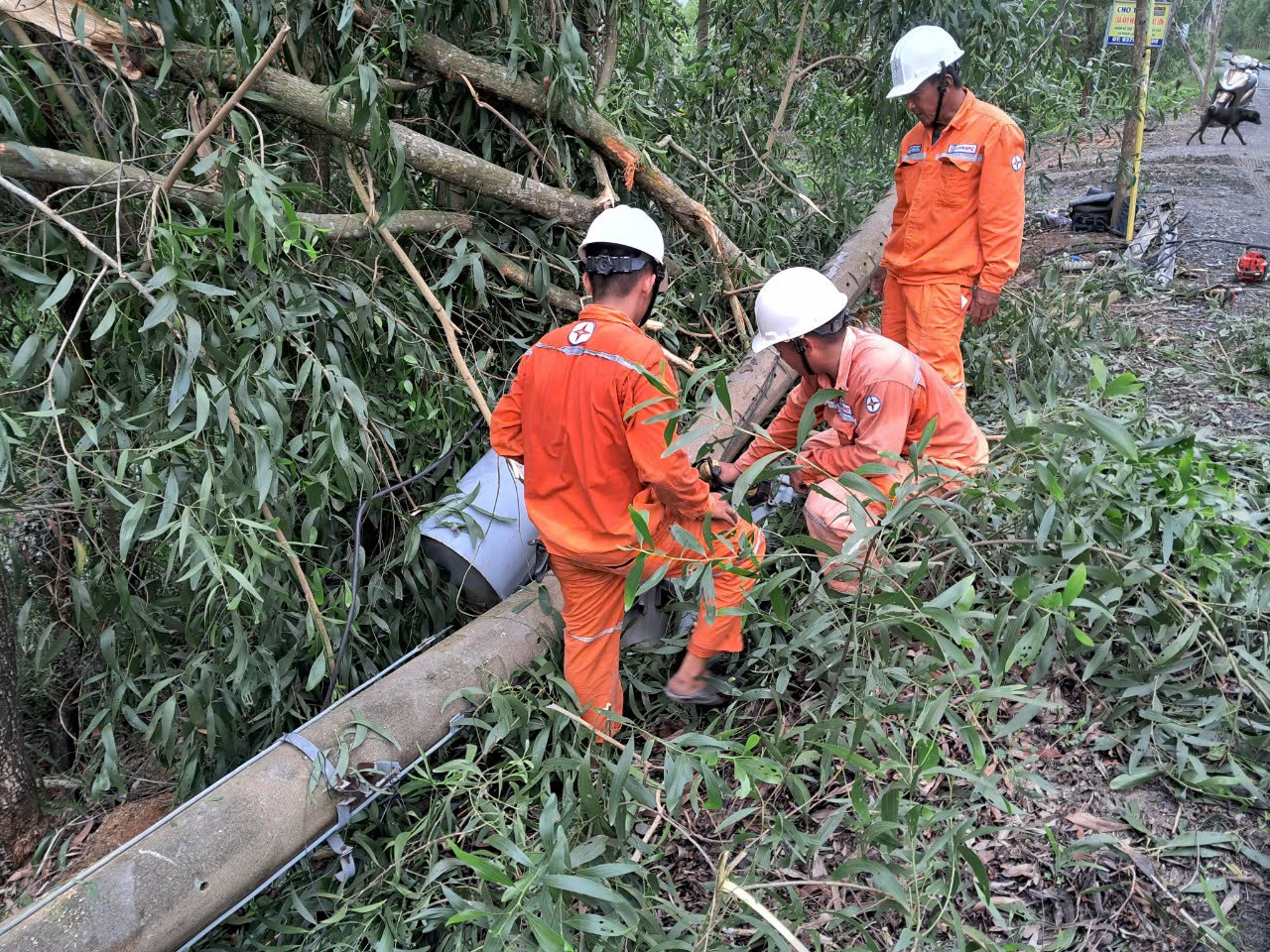 Lốc xoáy cũng khiến 1 người bị thương, 33 căn nhà sập và tốc mái làm ảnh hưởng đến lưới điện trung - hạ áp vừa xảy ra ở Tiền Giang