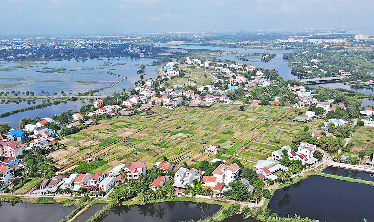 Bức tranh toàn cảnh làng rau Trà Quế.