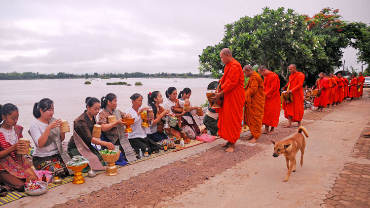 Buddhist alms giving (khất thực) là trải nghiệm nhẹ nhàng và mang nhiều ý nghĩa tôn giáo