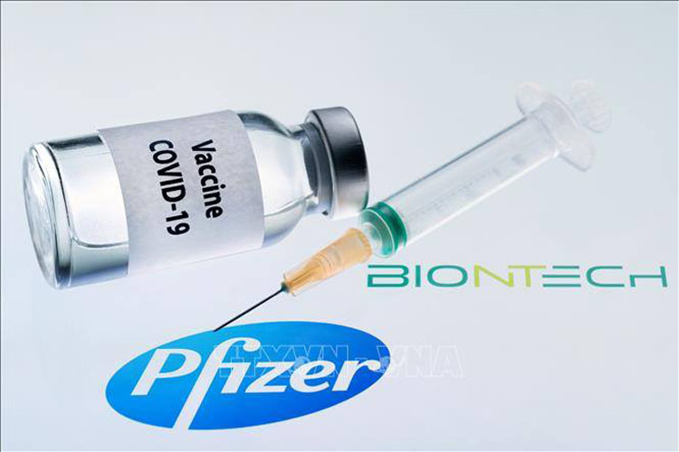Hình ảnh mô phỏng vaccine ngừa COVID-19 do hãng dược phẩm Pfizer (Mỹ) và BioNTech (Đức) phối hợp sản xuất. Ảnh: AFP/TTXVN