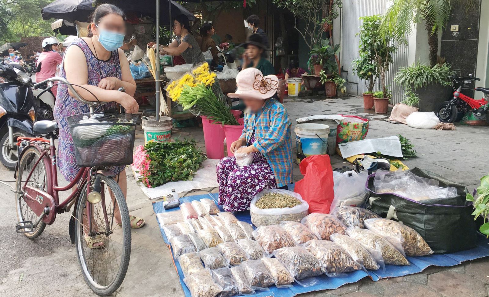 Thảo được bày bán tại chợ cóc thuộc phường Phương Liệt, Thanh Xuân, Hà Nội.