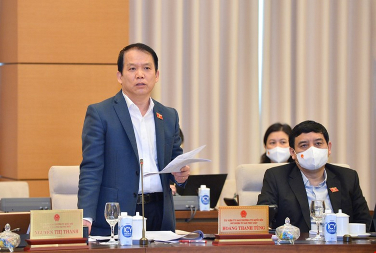 Chủ nhiệm Ủy ban Pháp luật Hoàng Thanh Tùng phát biểu thảo luận. (Ảnh: Quốc hội)