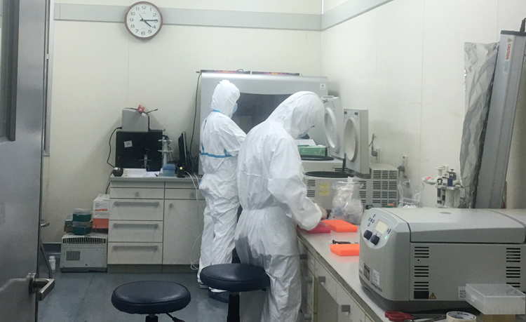 Các bác sĩ thực hiện xét nghiệm phát hiện các ca dương tính với SARS-CoV-2 tại Viện Vệ sinh dịch tế Trung ương. (Ảnh: H.G)