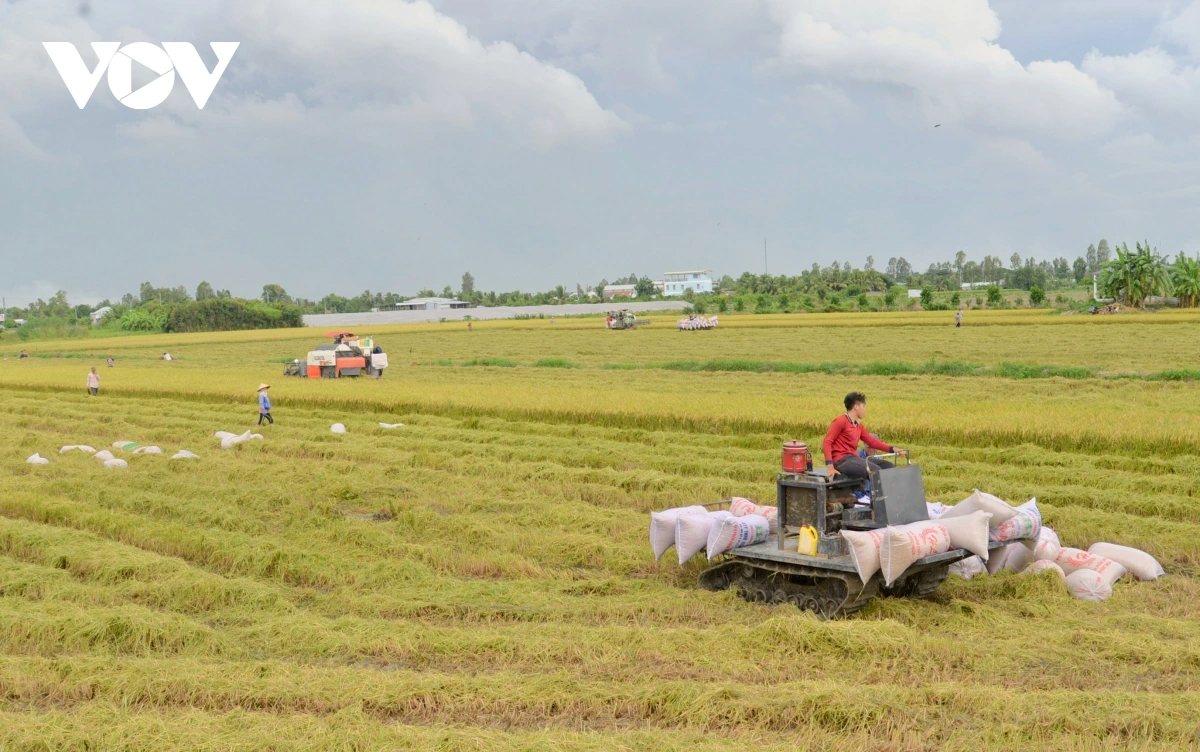 Thuế phân bón được áp dụng có ảnh hưởng tới sản xuất nông nghiệp và người nông dân?