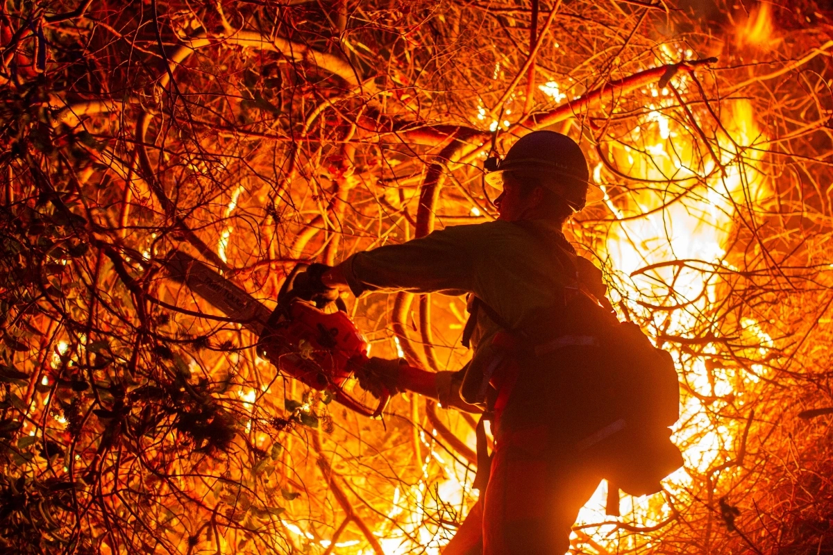 Cháy rừng ở Los Angeles ngày 12/1/2025. (Ảnh: Reuters)