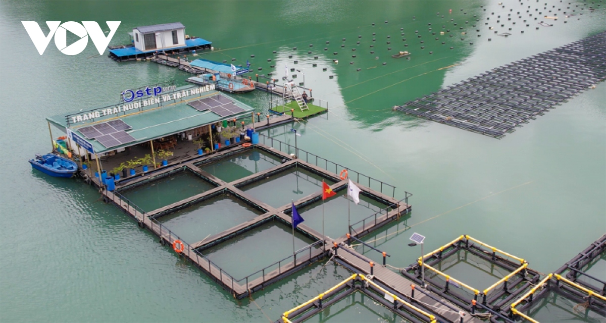 Một số mô hình nuôi biển công nghệ cao kết hợp du lịch trải nghiệm đã và đang được xây dựng trên vịnh Hạ Long, Bái Tử Long.