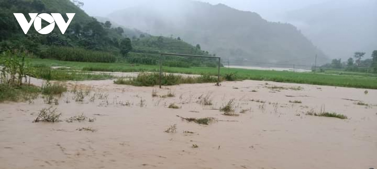 Nhiều diện tích lúa trên cánh đồng Mường Tấc bị ngập sau mưa lớn.