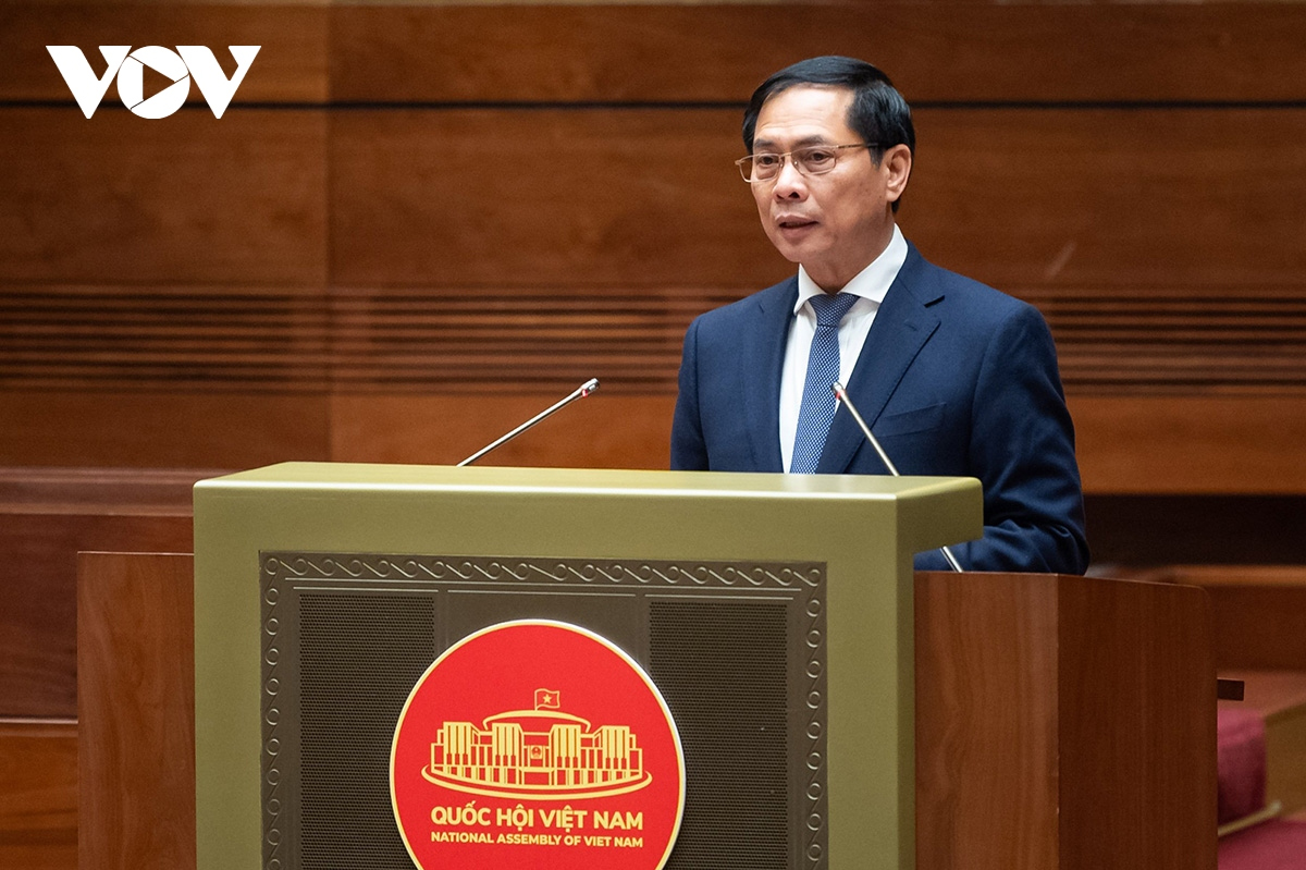 Bộ trưởng Ngoại giao Bùi Thanh Sơn Báo cáo với Chủ tịch Quốc hội Vương Đình Huệ.