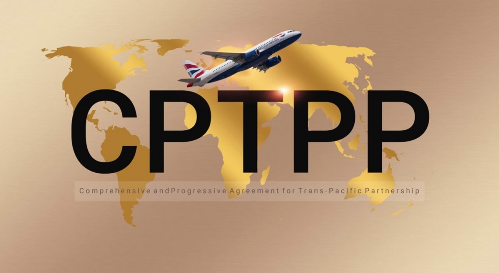Sau gần 5 năm có hiệu lực, Hiệp định CPTPP đã giúp hoạt động xuất nhập khẩu giữa Việt Nam và các nước khu vực châu Á Thái Bình Dương tăng trưởng mạnh mẽ. (Ảnh minh họa: KT)