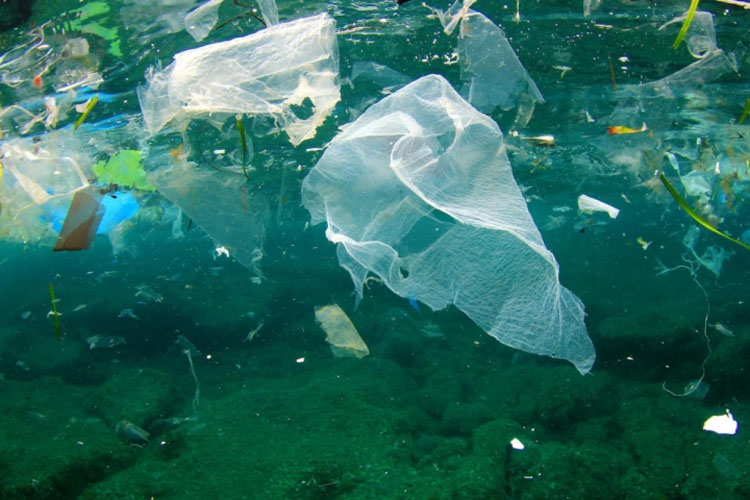 Ô nhiễm nhựa là vấn đề nhức nhối với công tác bảo vệ môi trường biển.