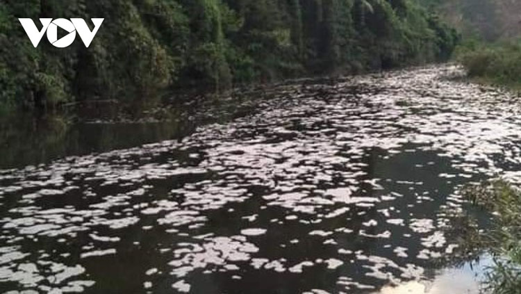 Từ ngày 22 - 24/2/2021 nước sông Phó Đáy qua xã Trung Minh, huyện Yên Sơn, tỉnh Tuyên Quang tiếp tục nổi bọt trắng và có màu đen đục bất thường sau hơn 1 tháng tạm lắng.