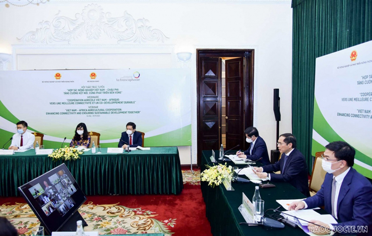 Các đại biểu tham dự Hội thảo trực tuyến “Hợp tác nông nghiệp Việt Nam - châu Phi: Tăng cường kết nối, Cùng phát triển bền vững”.