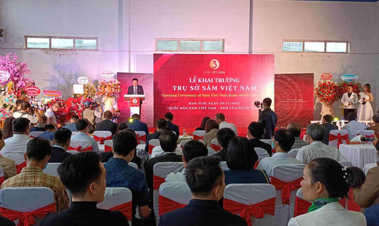 Lễ khai trương Trụ sở sâm Việt Nam của Công ty Cổ phần Đầu tư sâm Việt Nam được tổ chức rầm rộ.
