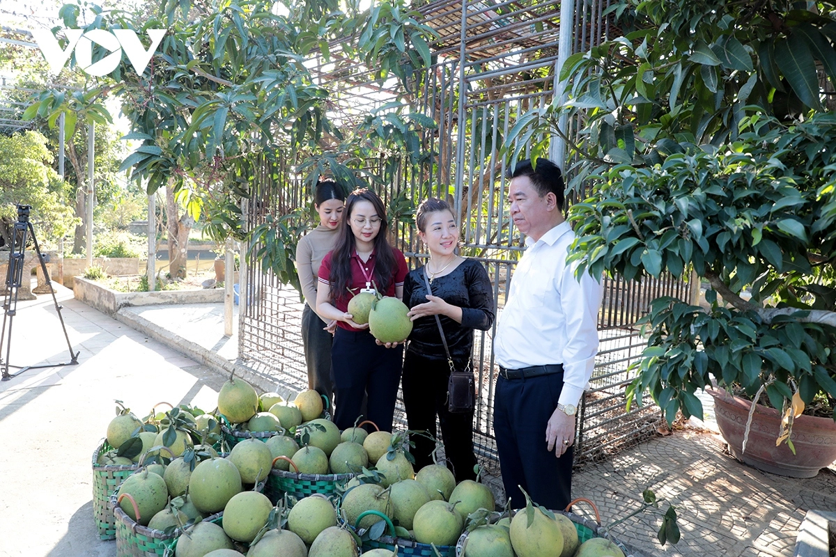 Tổng doanh thu mỗi tháng của trang trại trung bình 6 tỷ đồng, 20 công nhân.