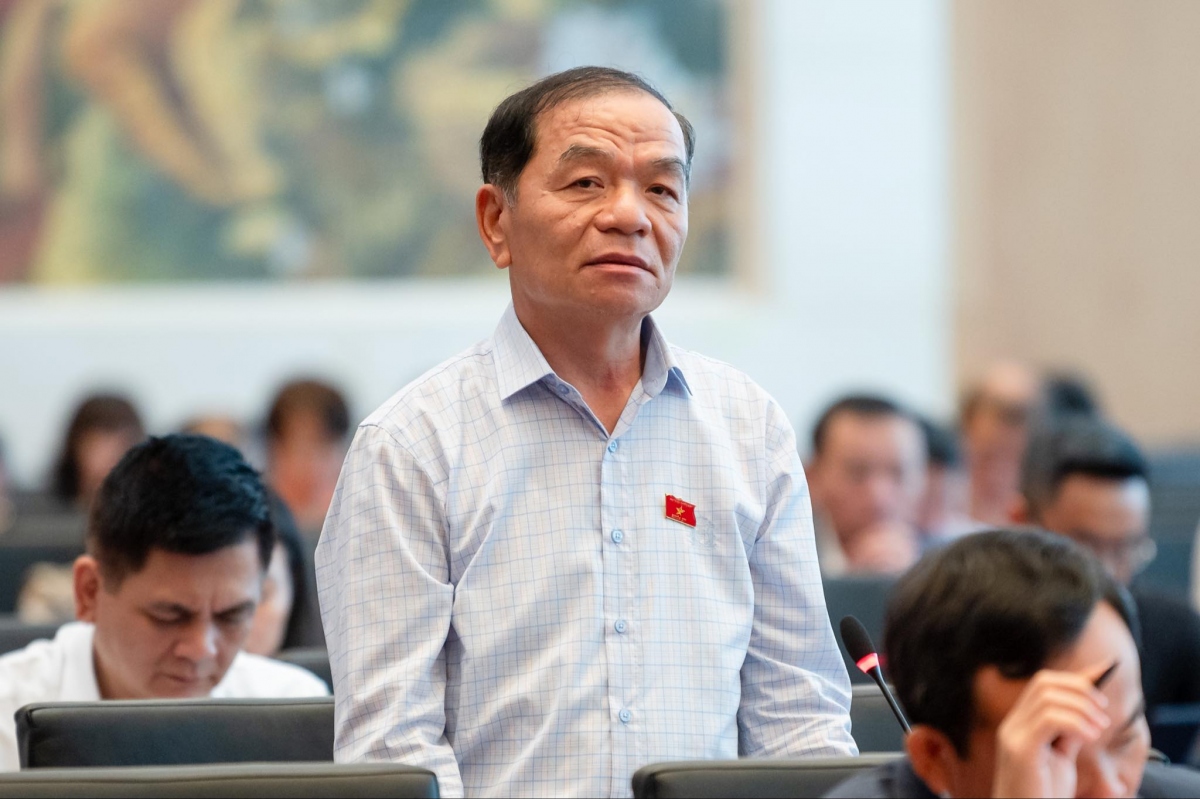 Đại biểu Lê Thanh Vân.