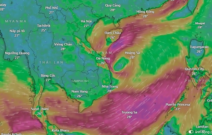 Hướng đi dự kiến của bão số 4. (Nguồn: Windy)