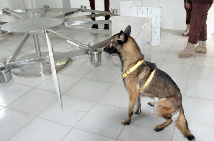 Chó nghiệp vụ được đào tạo nghiêm ngặt. (Ảnh FB ông Heng Ratana).
