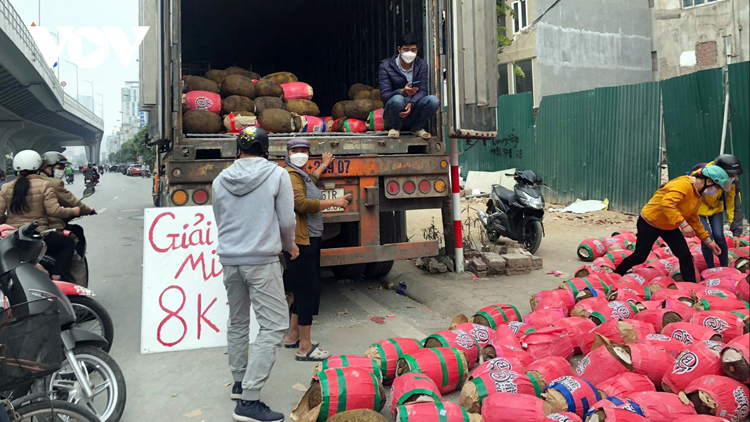 Mít Thái được bán ở đường Trường Chinh với giá 8.000 đồng/kg, hơn 100.000 đồng/quả.