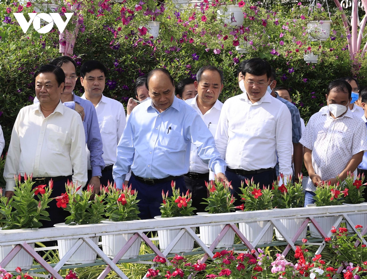 Chủ tịch nước Nguyễn Xuân Phúc đánh giá cao HTX dich vụ nông nghiệp Mỹ Đông 2 liên kết hiệu quả với doanh nghiệp để tiêu thụ sản phẩm đầu ra.