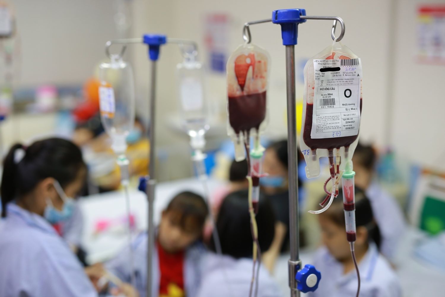 Người bệnh thalassemia cần định kỳ truyền máu (khối hồng cầu), thải sắt và điều trị biến chứng tại các bệnh viện.