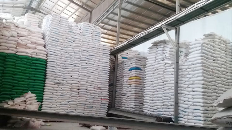 Các kho dự trữ gạo vùng ĐBSCL dồi dào để phục vụ xuất khẩu