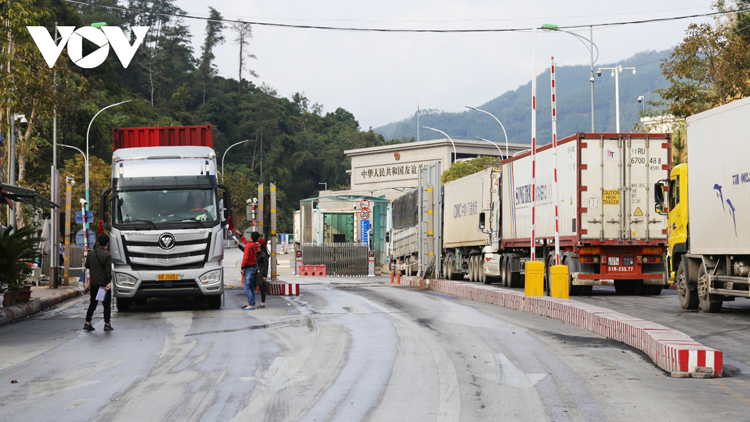 Lạng Sơn tạm thời dừng tiếp nhận phương tiện chở hoa quả tươi xuất khẩu qua địa bàn từ ngày 17/1 cho đến Tết Nguyên đán.