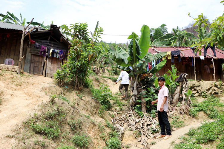 Bản Chà Dì, xã Bum Tở, nơi cư trú của gần 400 nhân khẩu đồng bào La Hủ hiện đang gặp nguy hiểm khi mùa mưa đến gần.