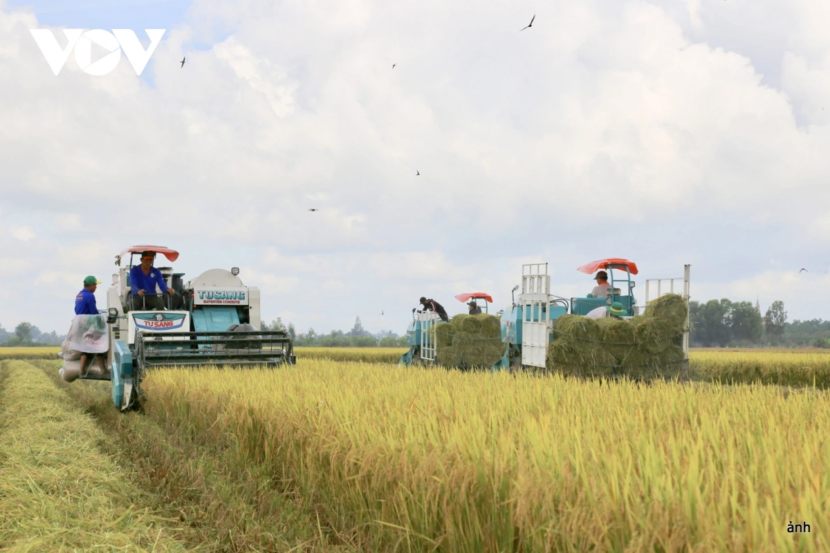 Mô hình tại Cần Thơ đã chứng minh hiệu quả và là bước khởi đầu để các địa phương trong vùng triển khai, nhân rộng.