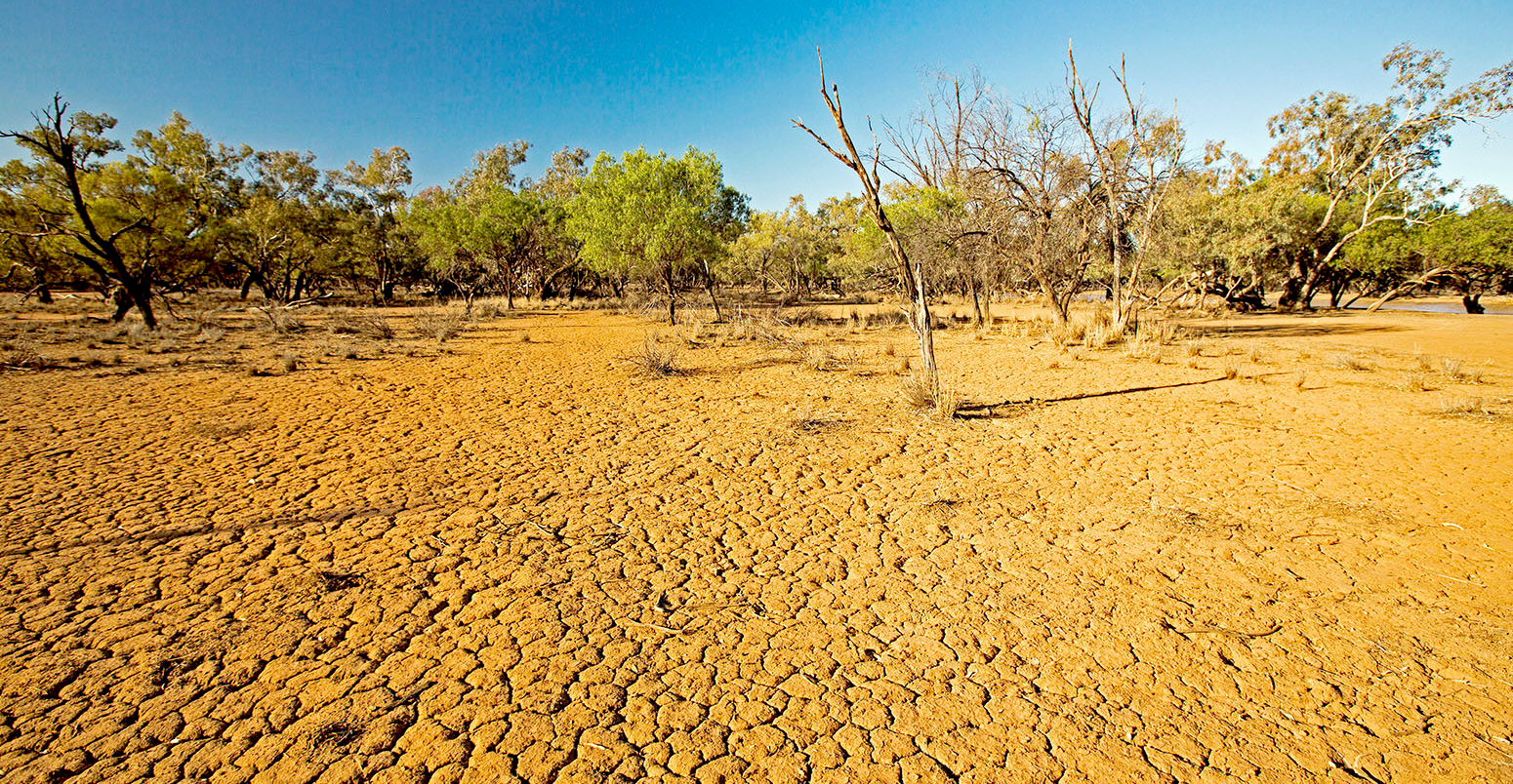 Hạn hán ở Công viên Quốc gia Currawinya, Queensland, Australia. (Ảnh: carbonbrief.org)