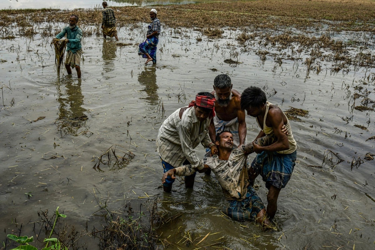 Hifjur Rehman - 40 tuổi, sống trong gia đình có 3 đời làm nông - ngã gục trước cánh đồng bị lũ lụt phá hủy ở bang Assam, Ấn Độ. (Ảnh: New York Times)