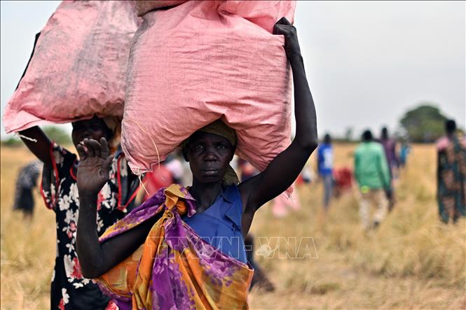 Người dân nhận lương thực cứu trợ tại Ayod, Nam Sudan. (Ảnh tư liệu: AFP/TTXVN)