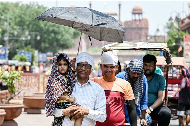 Người dân che ô tránh nắng nóng tại New Delhi, Ấn Độ, ngày 21/5/2024. (Ảnh: AFP/TTXVN)
