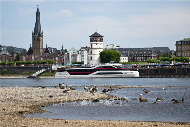 Sông Rhine đoạn chảy qua Duesseldorf, miền Tây Đức bị cạn một phần, ảnh hưởng tới hoạt động vận tải, ngày 25/7/2022. (Ảnh: AFP/TTXVN)