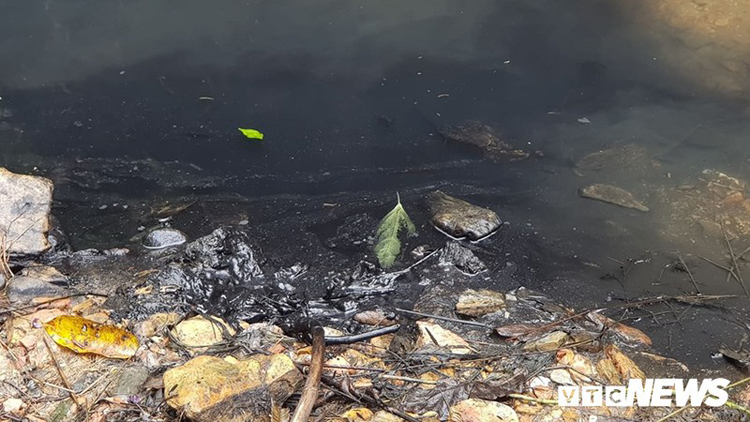 Con suối Khại dẫn nước cho nhà máy nước sạch Sông Đà (xã Phú Minh, Kỳ Sơn, Hòa Bình) bị nhiễm bẩn do dầu thải đổ vào đầu nguồn.