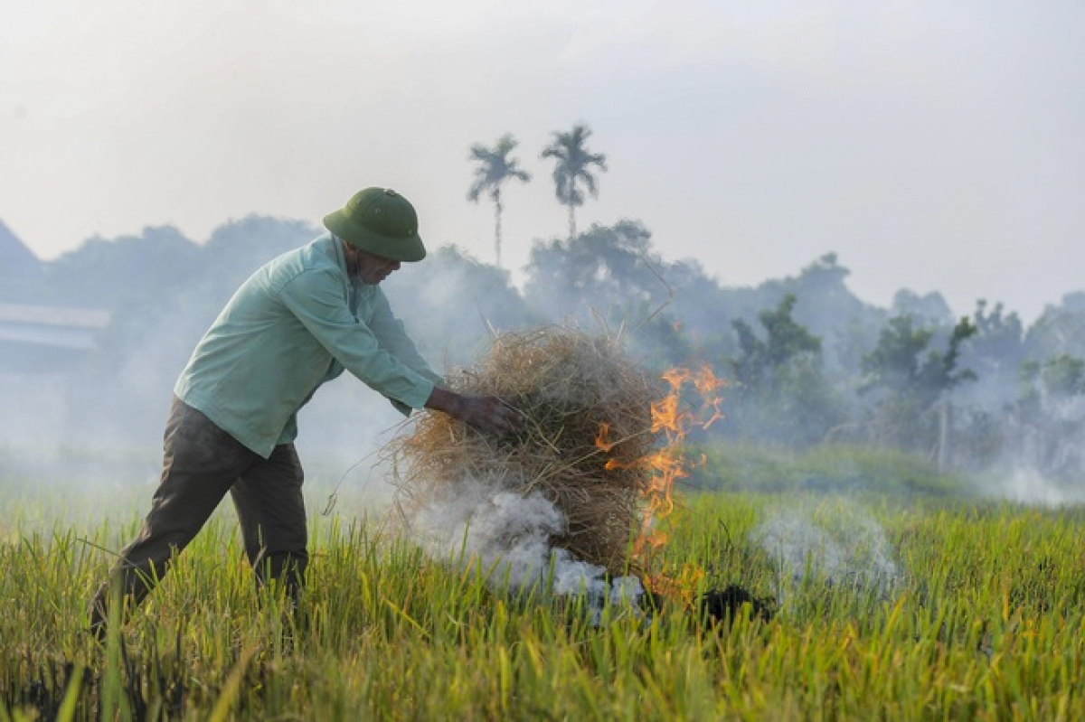 Nông dân huyện Thường Tín (Hà Nội) đốt rơm rạ trên đồng. (Ảnh: Đức Duy - Báo Dân Việt)