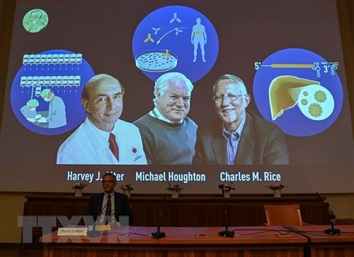 Chân dung ba nhà khoa học vinh dự nhận được giải Nobel Y học. (Ảnh: TTXVN)