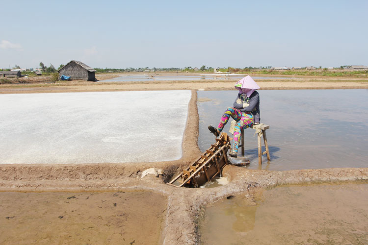Nghề làm muối ở tỉnh Bến Tre tuy vất vả nhưng có thu nhập khá vào mùa khô hạn.
