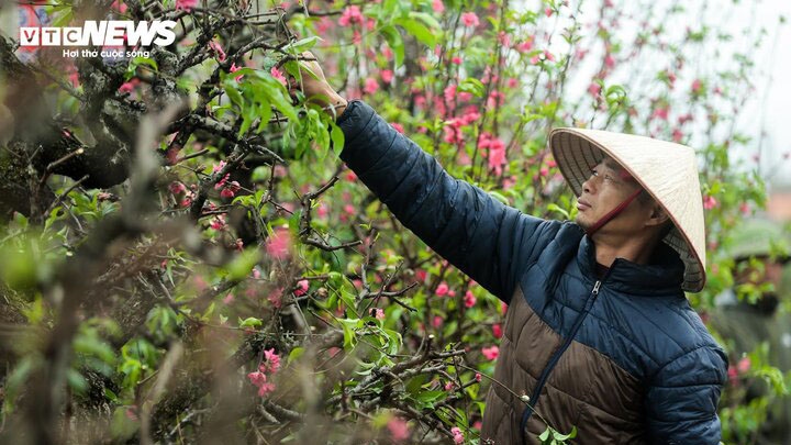 Bộ Nội vụ thống nhất nghỉ tết Nguyên đán 2025 kéo dài 9 ngày.