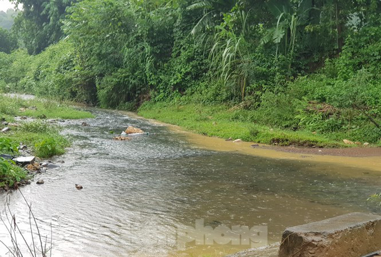 Theo thông tin trên báo Tiền phong thì nước suối đầu nguồn nước sông Đà chuyển màu đen do bị ô nhiễm có thể là nguyên nhân gây mùi nước ở Hà Nội.